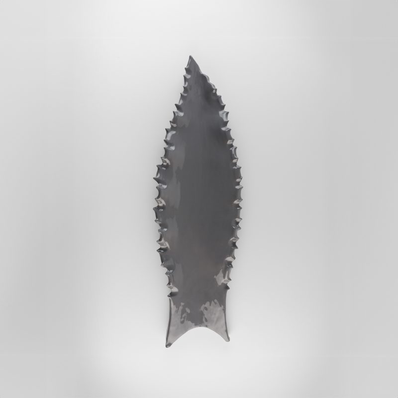 Agave