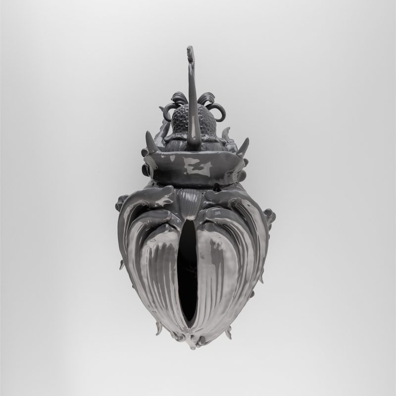 Coleottero H40